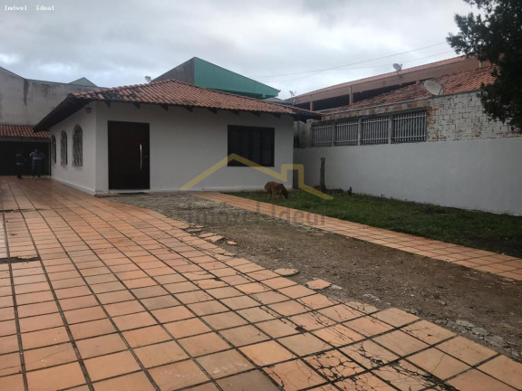 Imagem Casa com 3 Quartos à Venda, 480 m² em Vila Amélia - Pinhais