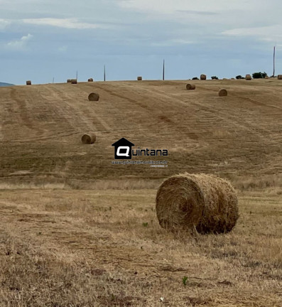 Imagem Imóvel para Alugar, 5.500.000 m² em Centro - Encruzilhada Do Sul