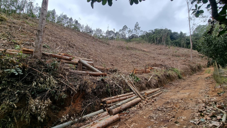 Imagem Imóvel à Venda, 44.000 m² em Alto Nova Almeida - Marechal Floriano Imagem Imóvel à Venda, 44.000 m² em Alto Nova Almeida - Marechal Floriano