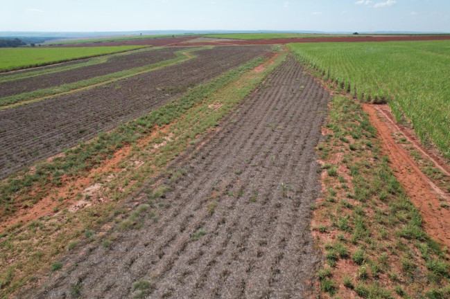Imagem Fazenda à Venda, 64 m² em Zona Rural - Bariri Imagem Fazenda à Venda, 64 m² em Zona Rural - Bariri