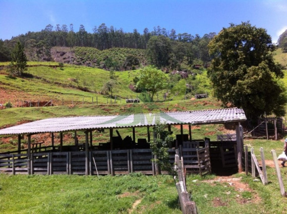 Imagem Fazenda à Venda, 1.161.600 m² em Piracaia - Piracaia