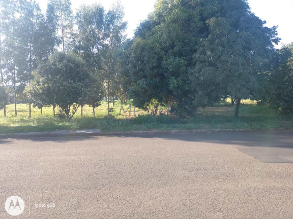 Imagem Terreno à Venda, 250 m² em Jardim Itália - Pirassununga Imagem Terreno à Venda, 250 m² em Jardim Itália - Pirassununga