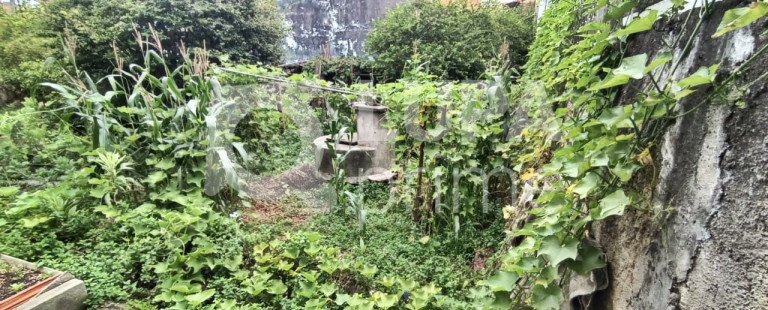 Imagem Terreno à Venda, 350 m² em Parque Edu Chaves - São Paulo