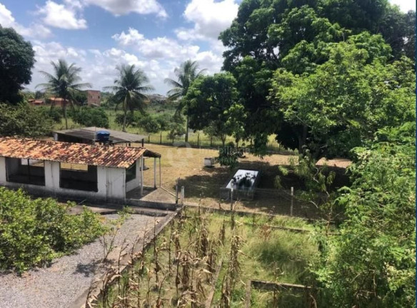 Imagem Fazenda à Venda, 400 m² em Salgado Imagem Fazenda à Venda, 400 m² em Salgado