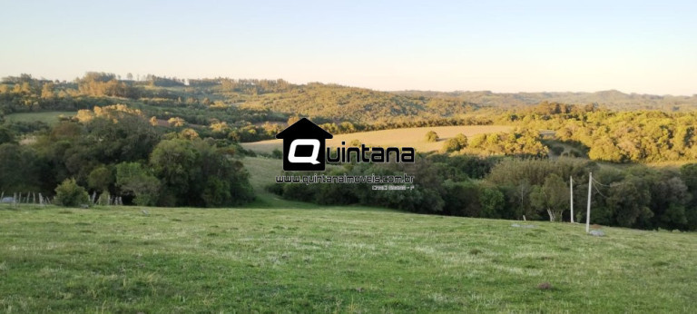 Imagem Imóvel com 1 Quarto à Venda, 230.000 m² em Santo Amor - Morro Redondo