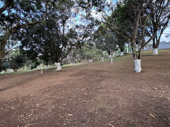 Imagem Imóvel à Venda, 21.010 m² em Chácara São Pedro - Aparecida De Goiânia Imagem Imóvel à Venda, 21.010 m² em Chácara São Pedro - Aparecida De Goiânia