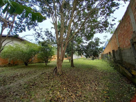 Imagem Terreno à Venda, 777 m² em Praia De Zimbros - Bombinhas