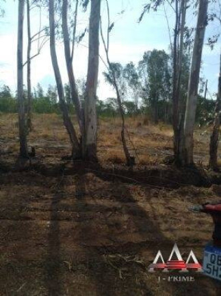 Imagem Terreno à Venda, 60.000 m² em Nova Esperança I - Cuiabá Imagem Terreno à Venda, 60.000 m² em Nova Esperança I - Cuiabá