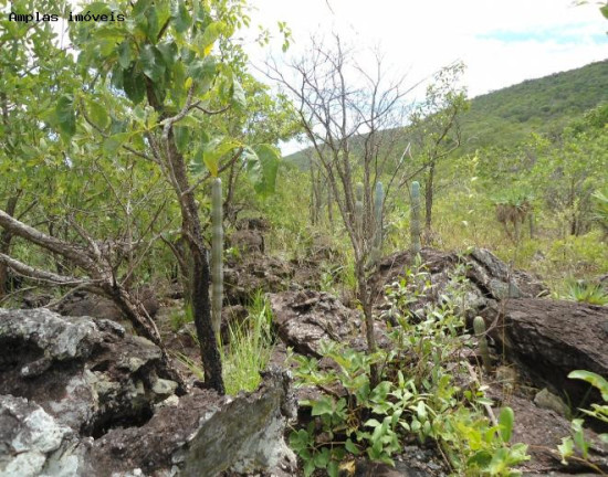 Imagem Fazenda à Venda, 164 m² em Monjolos área Rural - Monjolos Imagem Fazenda à Venda, 164 m² em Monjolos área Rural - Monjolos
