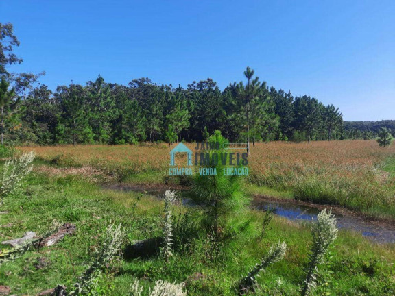 Imagem Fazenda à Venda, 60.000 m² em Emboaba - Tramandaí Imagem Fazenda à Venda, 60.000 m² em Emboaba - Tramandaí