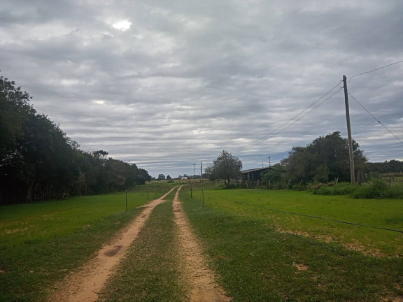 Chácara com 2 Quartos à Venda, 20.000 m² em águas Claras - Viamão