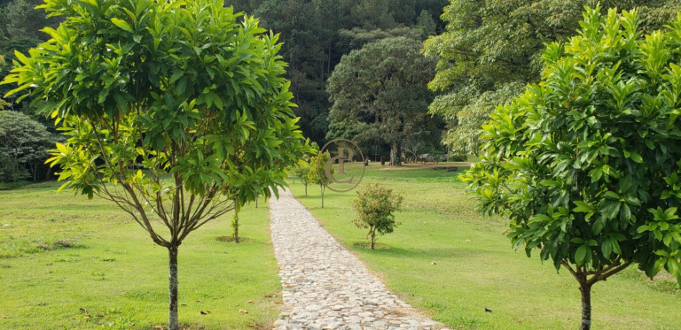 Imagem Terreno à Venda, 100 m² em Tamanho - Jambeiro Imagem Terreno à Venda, 100 m² em Tamanho - Jambeiro