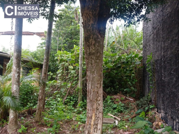 Imagem Terreno à Venda, 880 m² em São Judas - Itajaí Imagem Terreno à Venda, 880 m² em São Judas - Itajaí
