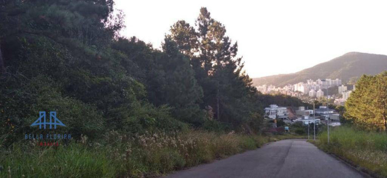 Terreno à Venda, 886 m² em Itacorubi - Florianópolis