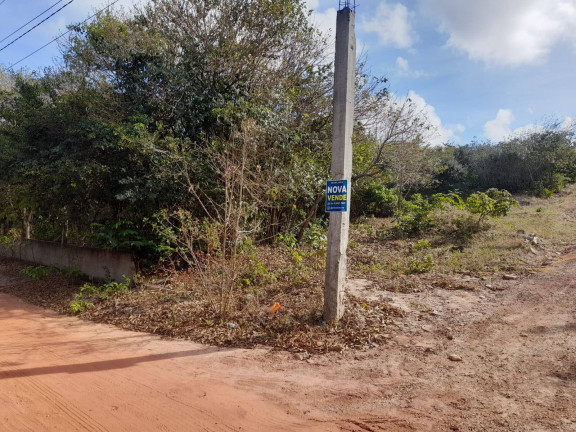 Imagem Terreno à Venda, 6.000 m² em Tibau Do Sul