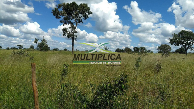 Chácara à Venda, 2 m² em Centro - Uberlândia