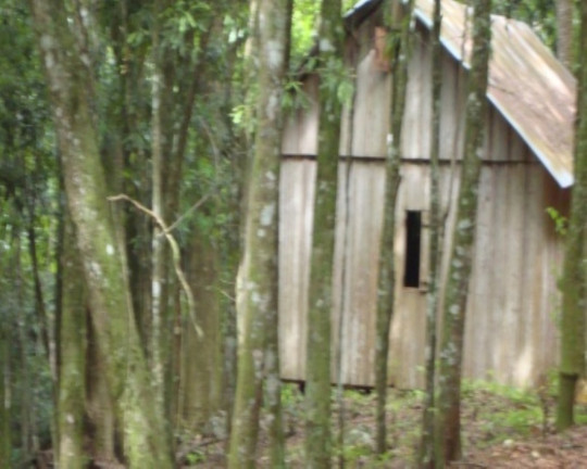 Imagem Terreno à Venda, 6 m² em Fazenda Pirajá - Nova Petrópolis Imagem Terreno à Venda, 6 m² em Fazenda Pirajá - Nova Petrópolis