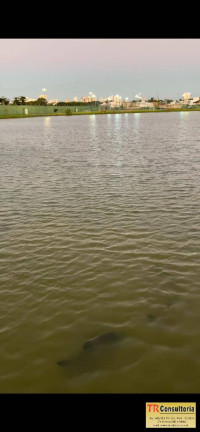 Imagem Terreno à Venda, 600 m² em Campos Dos Goytacazes Imagem Terreno à Venda, 600 m² em Campos Dos Goytacazes