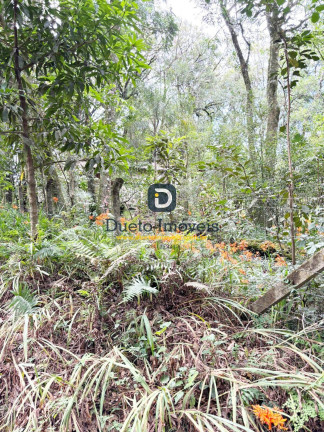 Imagem Casa à Venda, em Itaara - Itaara Imagem Casa à Venda, em Itaara - Itaara