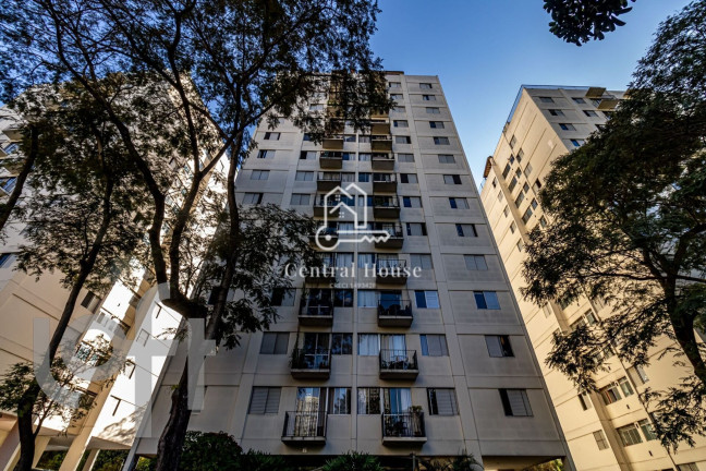 Imagem Apartamento com 3 Quartos para Alugar, 75 m² em Vila Suzana - São Paulo Imagem Apartamento com 3 Quartos para Alugar, 75 m² em Vila Suzana - São Paulo
