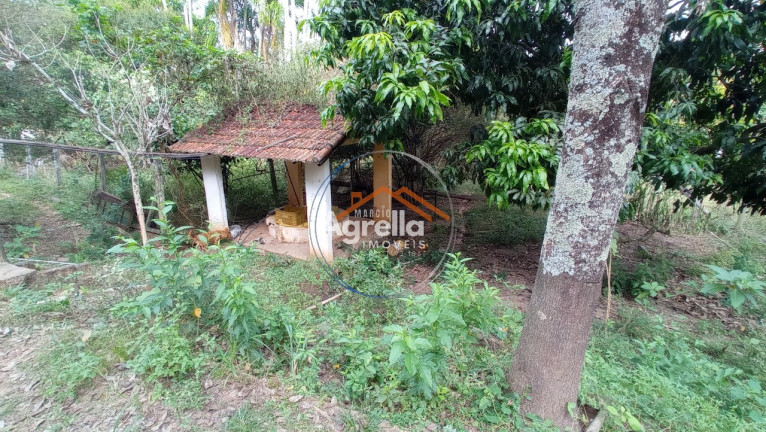 Imagem Imóvel com 3 Quartos à Venda, 25.000 m² em Jardim Primavera - Mogi Mirim Imagem Imóvel com 3 Quartos à Venda, 25.000 m² em Jardim Primavera - Mogi Mirim