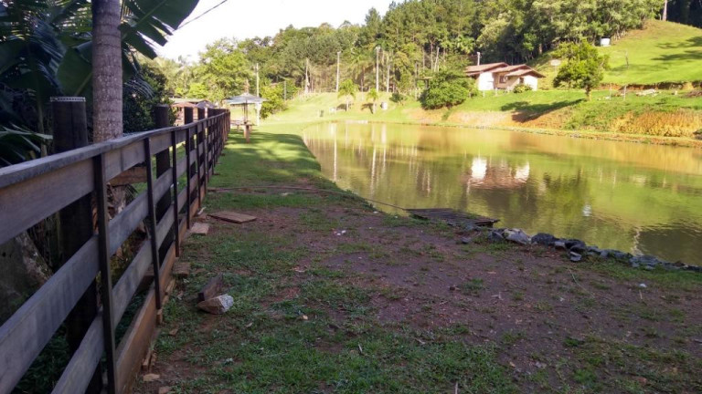 Imagem Fazenda à Venda, 900 m² em Vila Itoupava - Blumenau Imagem Fazenda à Venda, 900 m² em Vila Itoupava - Blumenau