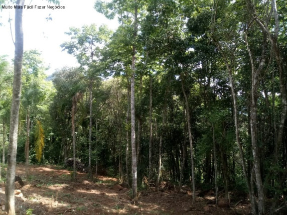 Imagem Terreno à Venda, 3 m² em Linha Pirajá Alta - Nova Petrópolis