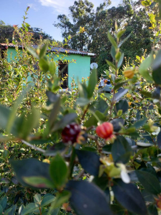 Imagem Casa com 2 Quartos à Venda, 8.000 m² em Itapuã - Viamão