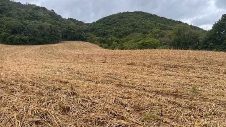 Imagem Imóvel à Venda, 96.800 m² em Meia Lua Dos Freita - Campo Magro Imagem Imóvel à Venda, 96.800 m² em Meia Lua Dos Freita - Campo Magro