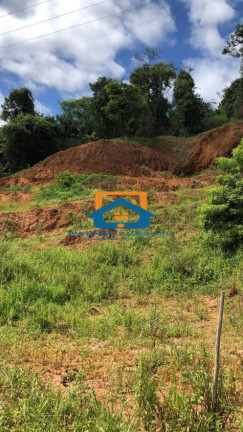 Chácara à Venda, 25.000 m² em Bom Jesus Do Bagre - Belo Oriente