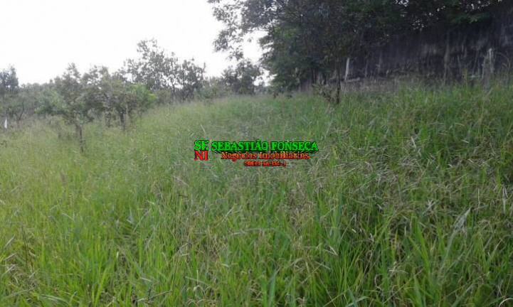 Imagem Terreno à Venda, 15.825 m² em Jardim Santa Júlia - São José Dos Campos Imagem Terreno à Venda, 15.825 m² em Jardim Santa Júlia - São José Dos Campos