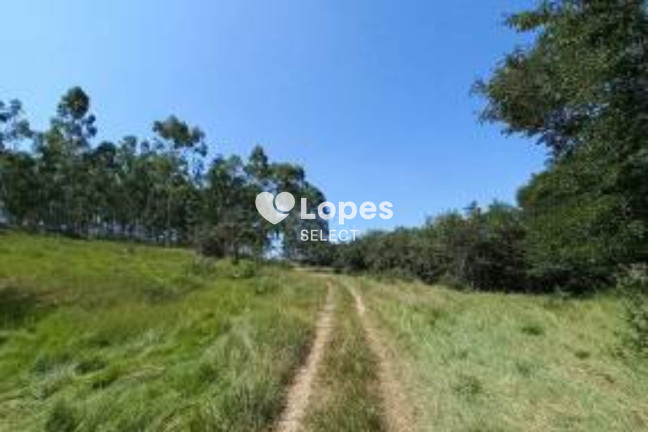 Imagem Imóvel com 1 Quarto à Venda, 310 m² em área Rural De Ribeirão Preto - Ribeirão Preto Imagem Imóvel com 1 Quarto à Venda, 310 m² em área Rural De Ribeirão Preto - Ribeirão Preto