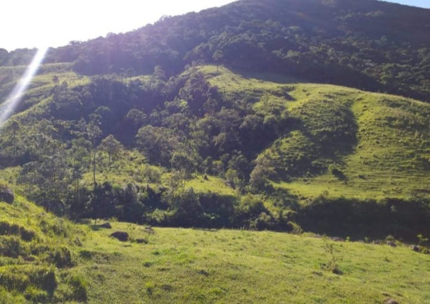 Imagem Fazenda à Venda, 726.000 m² em Tomba - Feira De Santana Imagem Fazenda à Venda, 726.000 m² em Tomba - Feira De Santana