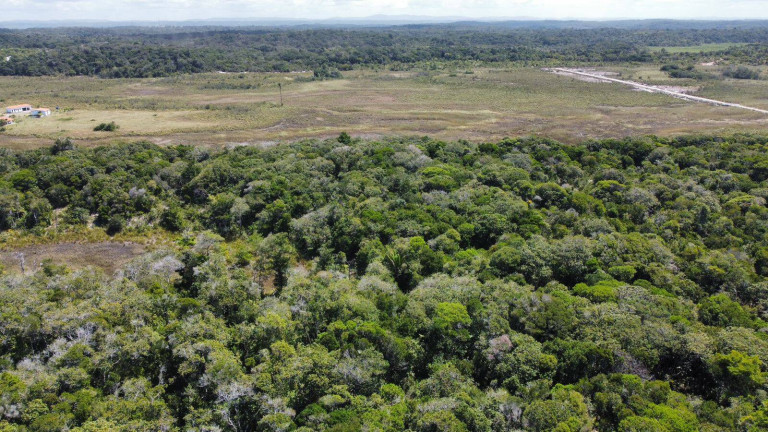 Chácara à Venda, 20.000 m² em Marau