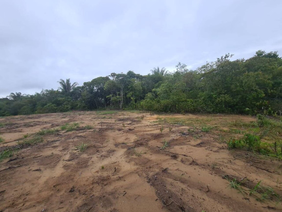 Imagem Terreno à Venda, 11 m² em Ponta Negra - Manaus Imagem Terreno à Venda, 11 m² em Ponta Negra - Manaus