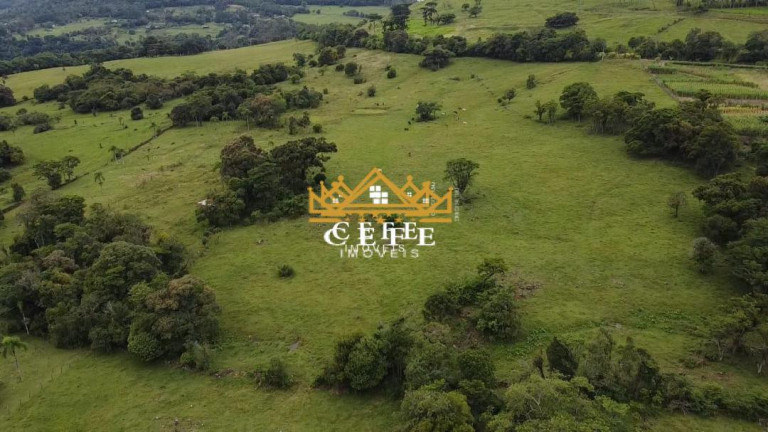 Imagem Imóvel à Venda, 20 m² em Zona Rural - Igrejinha Imagem Imóvel à Venda, 20 m² em Zona Rural - Igrejinha