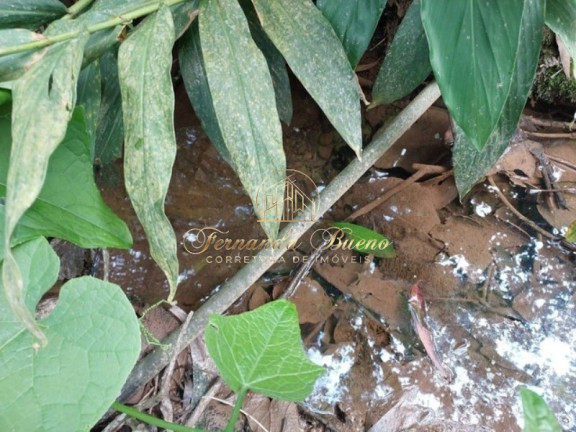 Imagem Imóvel à Venda, 1.015 m² em Recreio Da Borda Do Campo - Santo André Imagem Imóvel à Venda, 1.015 m² em Recreio Da Borda Do Campo - Santo André
