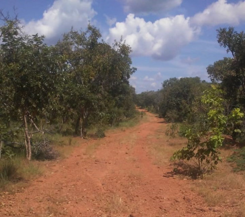 Imagem Imóvel à Venda,  em Região Central Do Tocantins - Pedro Afonso