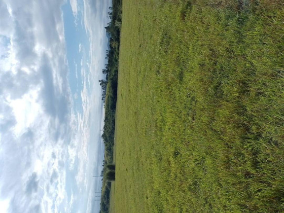 Imagem Chácara à Venda, 480 m² em Centro - Carapebus Imagem Chácara à Venda, 480 m² em Centro - Carapebus