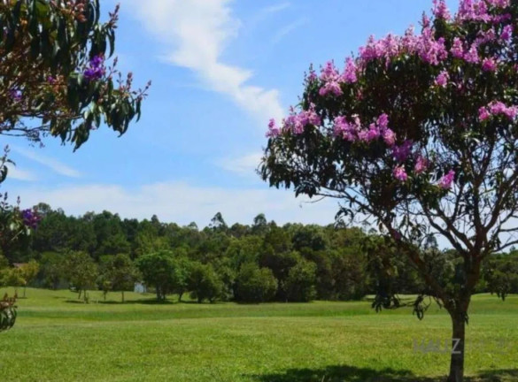Imagem Terreno à Venda, 832 m² em Ingleses - Florianópolis