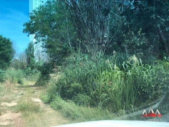 Imagem Terreno para Alugar, 3.200 m² em Jardim Cuiabá - Cuiabá Imagem Terreno para Alugar, 3.200 m² em Jardim Cuiabá - Cuiabá