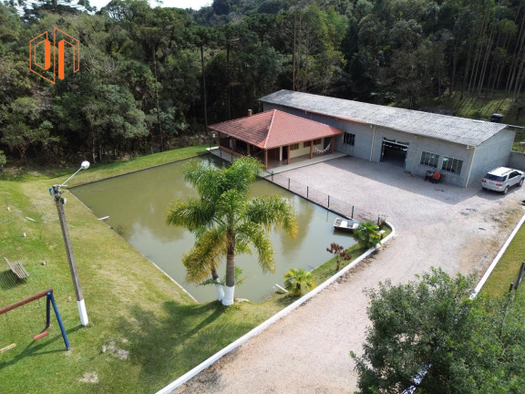 Imagem Imóvel à Venda, 4.000 m² em Borda Do Campo - São José Dos Pinhais