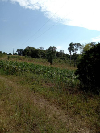 Imagem Imóvel com 3 Quartos à Venda, 130.000 m² em Cantagalo - Antônio Olinto
