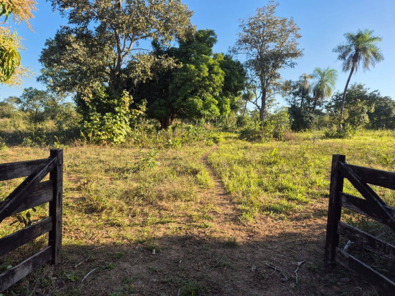Imagem Fazenda à Venda, 350 m² em Cuiabá
