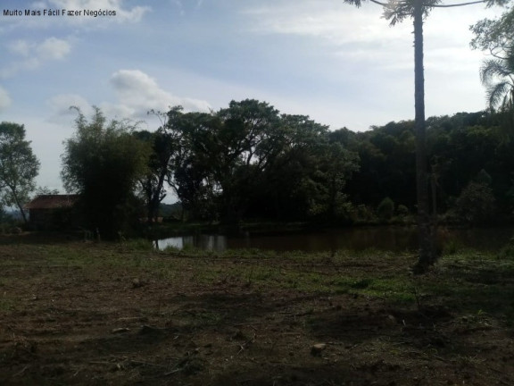 Imagem Terreno à Venda, 4 m² em Pinhal Alto - Nova Petrópolis Imagem Terreno à Venda, 4 m² em Pinhal Alto - Nova Petrópolis