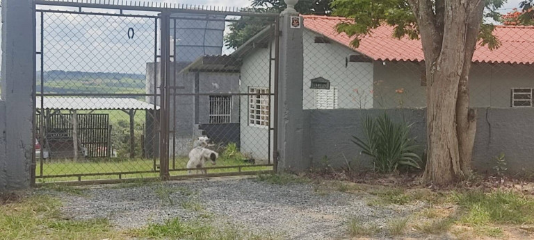 Imagem Chácara com 2 Quartos à Venda, 1.800 m² em Bairro Do Cercado - Araçoiaba Da Serra Imagem Chácara com 2 Quartos à Venda, 1.800 m² em Bairro Do Cercado - Araçoiaba Da Serra