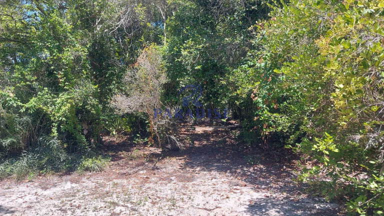 Imagem Terreno à Venda, 350 m² em Praia Do Forte - Mata De São João Imagem Terreno à Venda, 350 m² em Praia Do Forte - Mata De São João