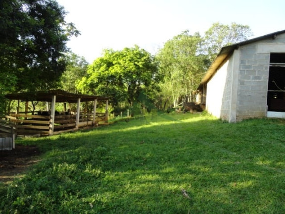 Imagem Chácara com 3 Quartos à Venda, 35.000 m² em Centro - Piracaia Imagem Chácara com 3 Quartos à Venda, 35.000 m² em Centro - Piracaia