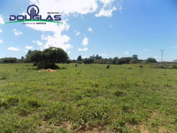 Imagem Terreno à Venda, 1.100 m² em águas Claras - Viamão Imagem Terreno à Venda, 1.100 m² em águas Claras - Viamão