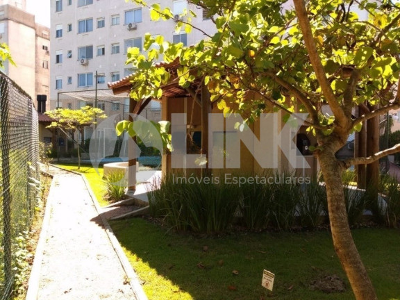 Imagem Apartamento com 3 Quartos à Venda, 61 m² em Cavalhada - Porto Alegre